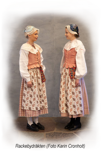 Färg, form och textil tradition - kommande årsbok 1 Rackebydräkten (årsbok 26-27)